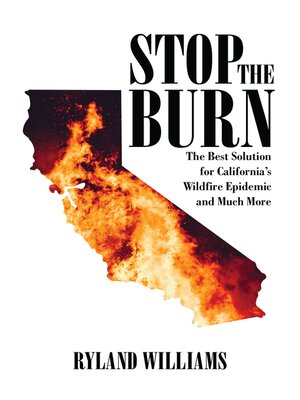 cover image of Stop the Burn